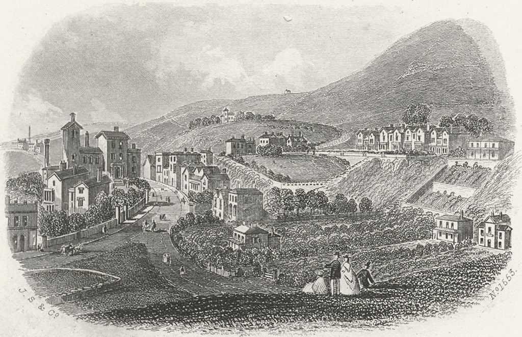 IOW. Entry to Ventnor c1850 old antique vintage print picture